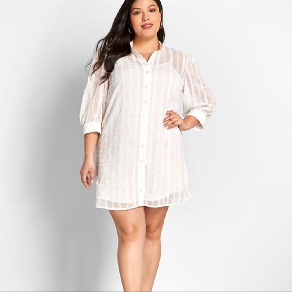 NWT Modcloth Sheer Joy Embroidered Mini Dress